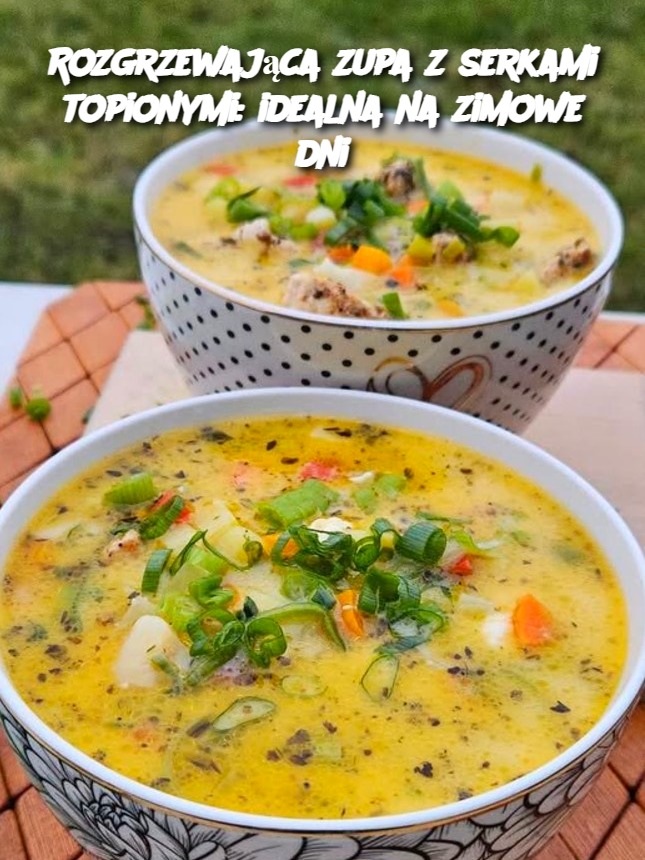Rozgrzewająca zupa z serkami topionymi: idealna na zimowe dni