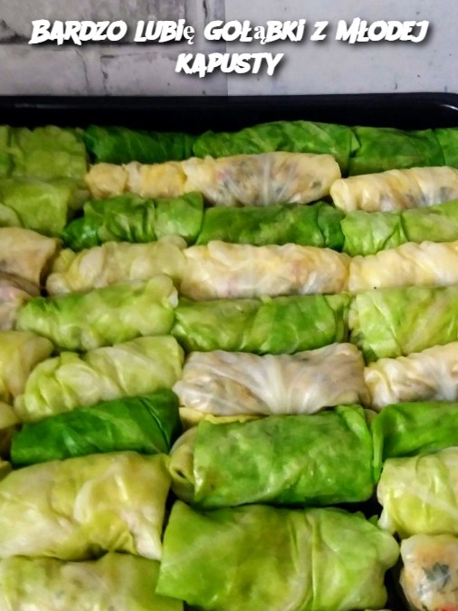Bardzo lubię gołąbki z młodej kapusty