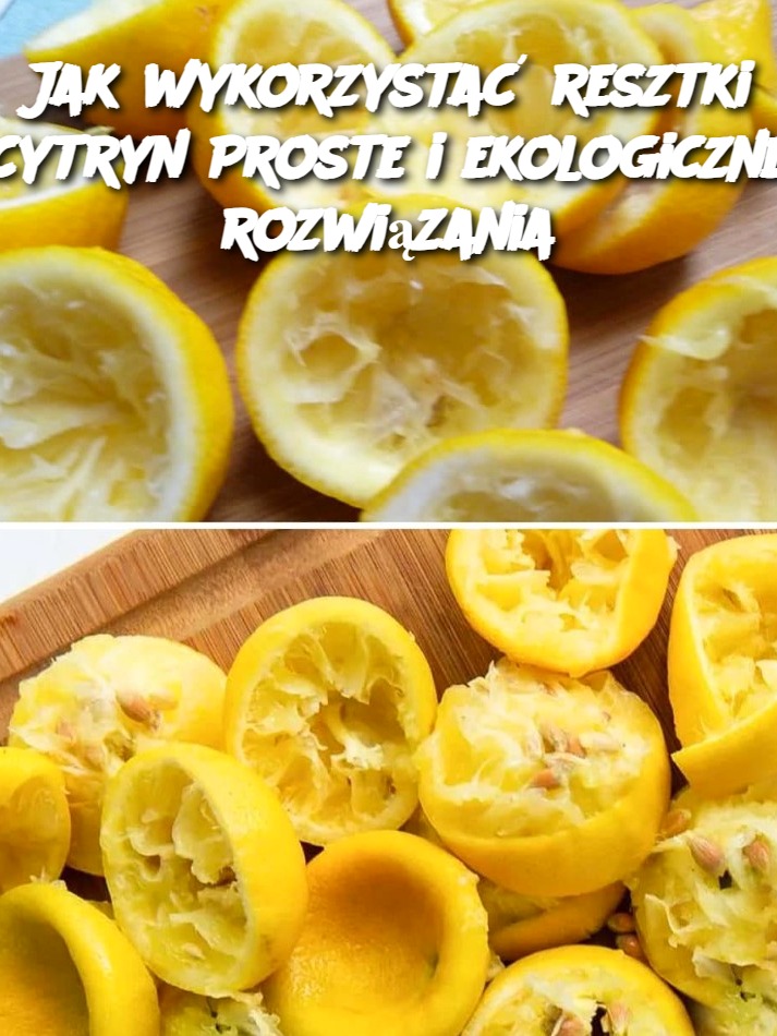 Jak wykorzystać resztki cytryn? Proste i ekologiczne rozwiązania