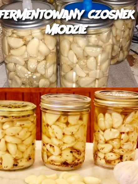 Sfermentowany czosnek w miodzie – naturalna metoda, którą warto poznać